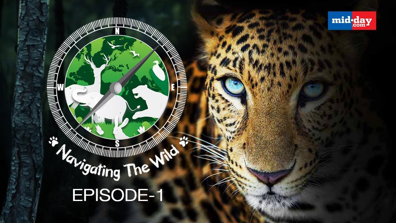 Navigating The Wild With Ranjeet Jadhav - Episode 1